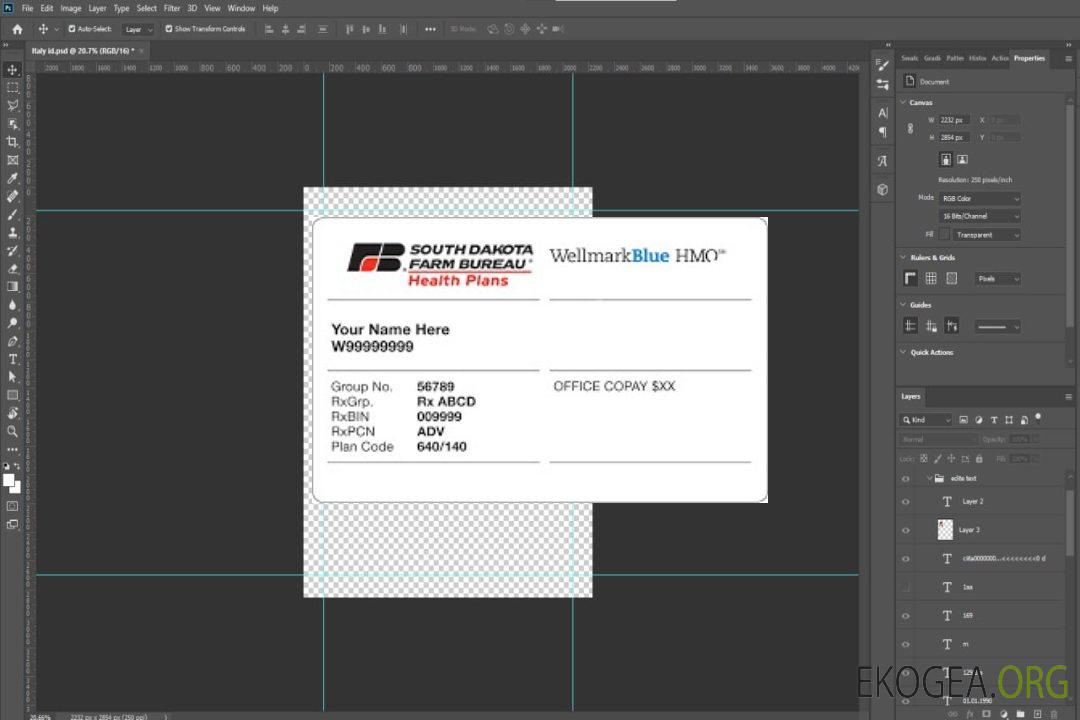 Carte d'assurance maladie du Dakota du Sud template
